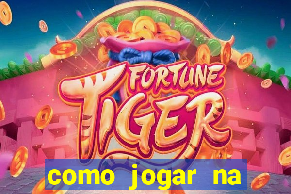 como jogar na lotinha do jogo do bicho