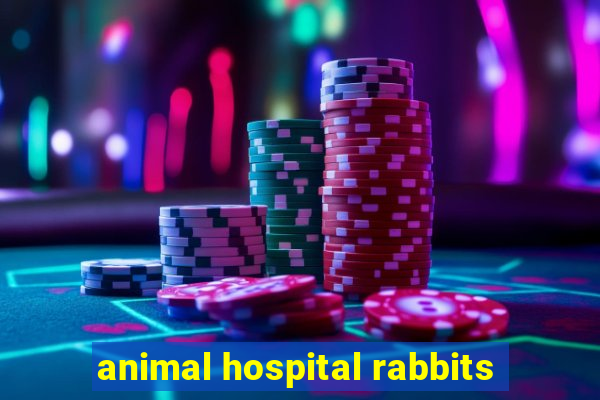 animal hospital rabbits