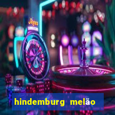 hindemburg melão jr fortuna