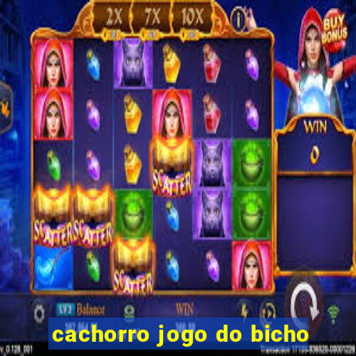 cachorro jogo do bicho