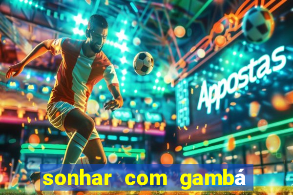 sonhar com gambá jogo do bicho