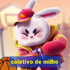 coletivo de milho