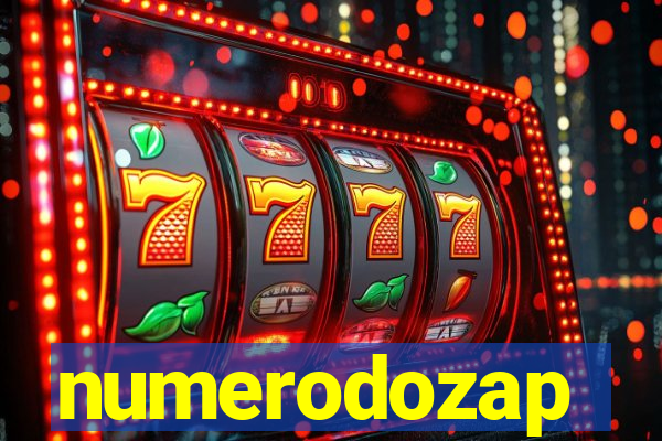 numerodozap