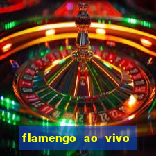 flamengo ao vivo multi tv