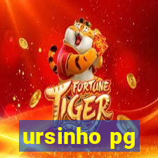 ursinho pg