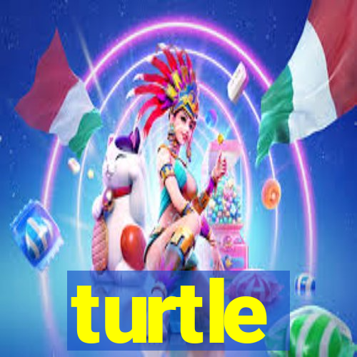 turtle-ty.com